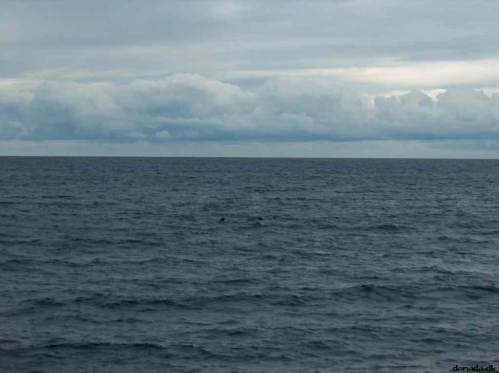* Image 43