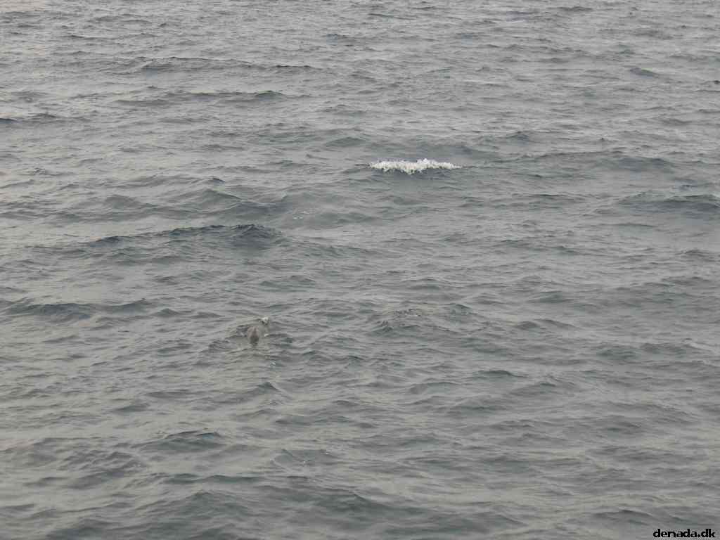 * Image 33