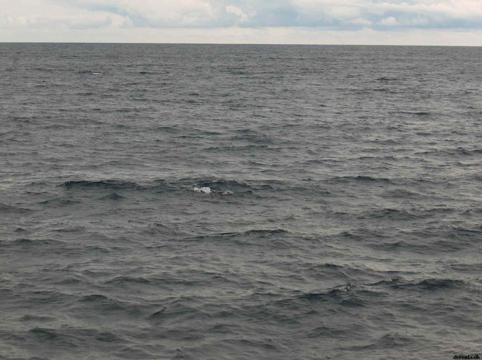 * Image 45