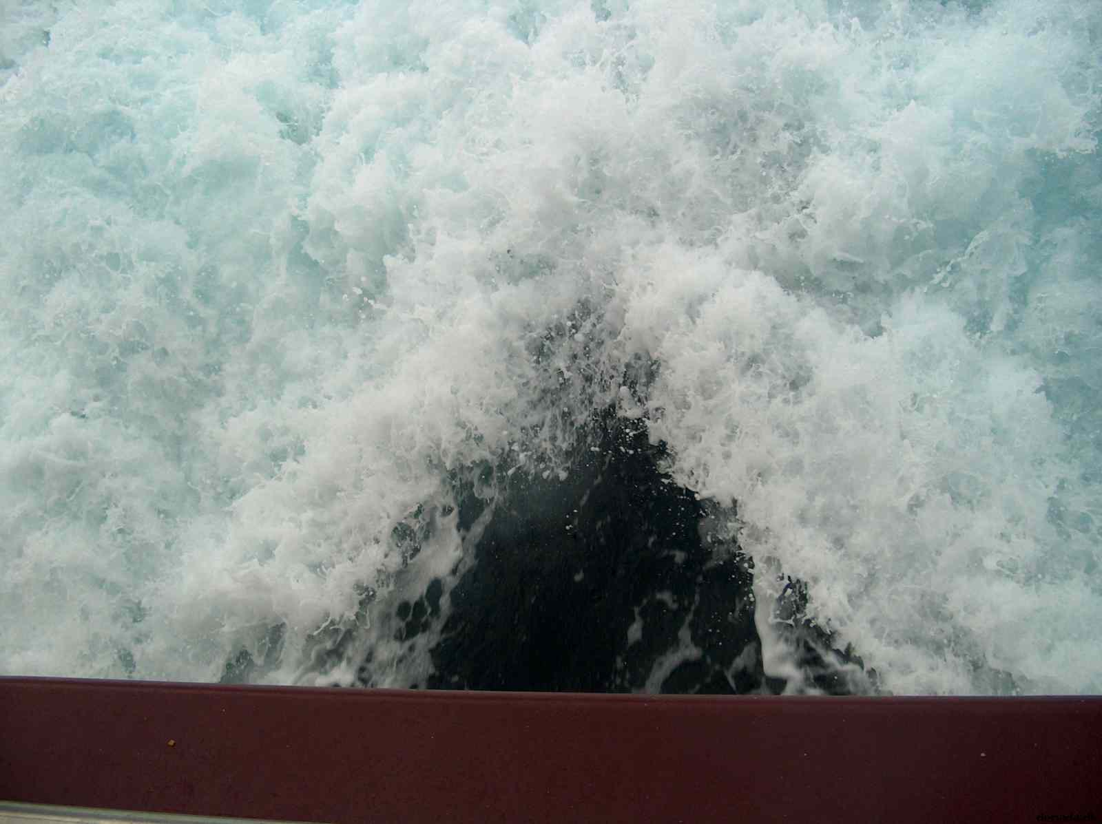 * Image 49