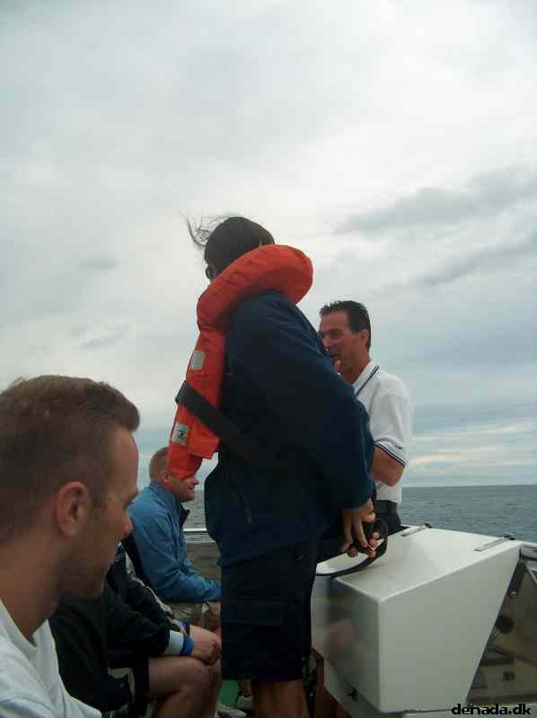 * Image 19