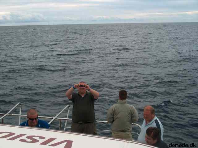 * Image 15
