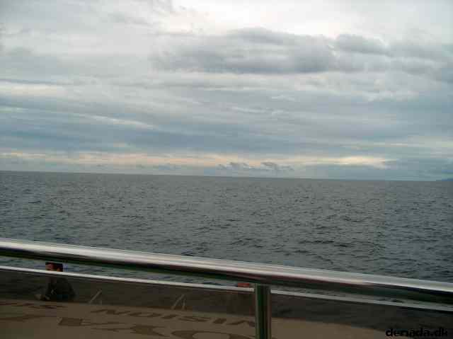 * Image 23