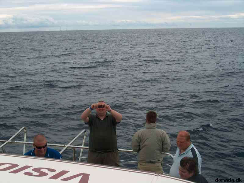 * Image 15