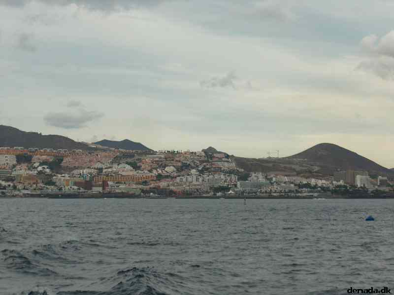 * Image 50