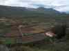 025.jpg - 2006:01:28 11:03:26