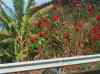 039.jpg - 2006:01:28 11:37:21