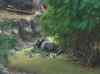 051.jpg - 2006:01:28 13:29:32