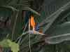 055.jpg - 2006:01:28 13:47:24