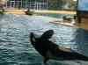 064.jpg - 2006:01:28 14:10:17