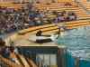 073.jpg - 2006:01:28 14:14:39