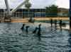 074.jpg - 2006:01:28 14:15:08