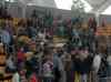 076.jpg - 2006:01:28 14:16:38