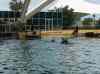 077.jpg - 2006:01:28 14:18:03