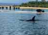 078.jpg - 2006:01:28 14:18:23