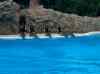 085.jpg - 2006:01:28 14:45:33