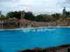 088.jpg - 2006:01:28 14:46:15