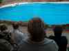 093.jpg - 2006:01:28 14:47:38