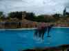 097.jpg - 2006:01:28 14:49:59
