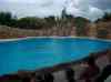 101.jpg - 2006:01:28 14:52:38