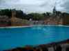 102.jpg - 2006:01:28 14:52:46