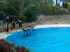 113.jpg - 2006:01:28 15:01:38