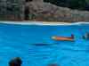 114.jpg - 2006:01:28 15:02:31