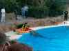115.jpg - 2006:01:28 15:03:18