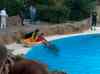 116.jpg - 2006:01:28 15:03:27