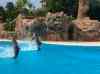 117.jpg - 2006:01:28 15:04:29