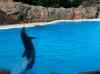 119.jpg - 2006:01:28 15:04:58