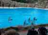 127.jpg - 2006:01:28 15:07:17