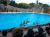 128.jpg - 2006:01:28 15:07:34
