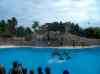 130.jpg - 2006:01:28 15:09:18
