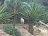 134.jpg - 2006:01:28 15:14:17