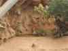 135.jpg - 2006:01:28 15:14:45