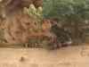 136.jpg - 2006:01:28 15:14:56