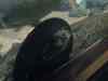 141.JPG - 2007:01:27 15:31:49