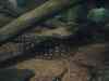 142.JPG - 2007:01:27 15:32:04