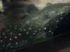 144.JPG - 2007:01:27 15:32:32