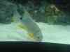 153.JPG - 2007:01:27 15:39:10