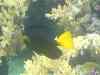 154.JPG - 2007:01:27 15:40:57