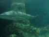 159.JPG - 2007:01:27 15:42:17