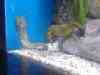 164.JPG - 2007:01:27 15:45:48
