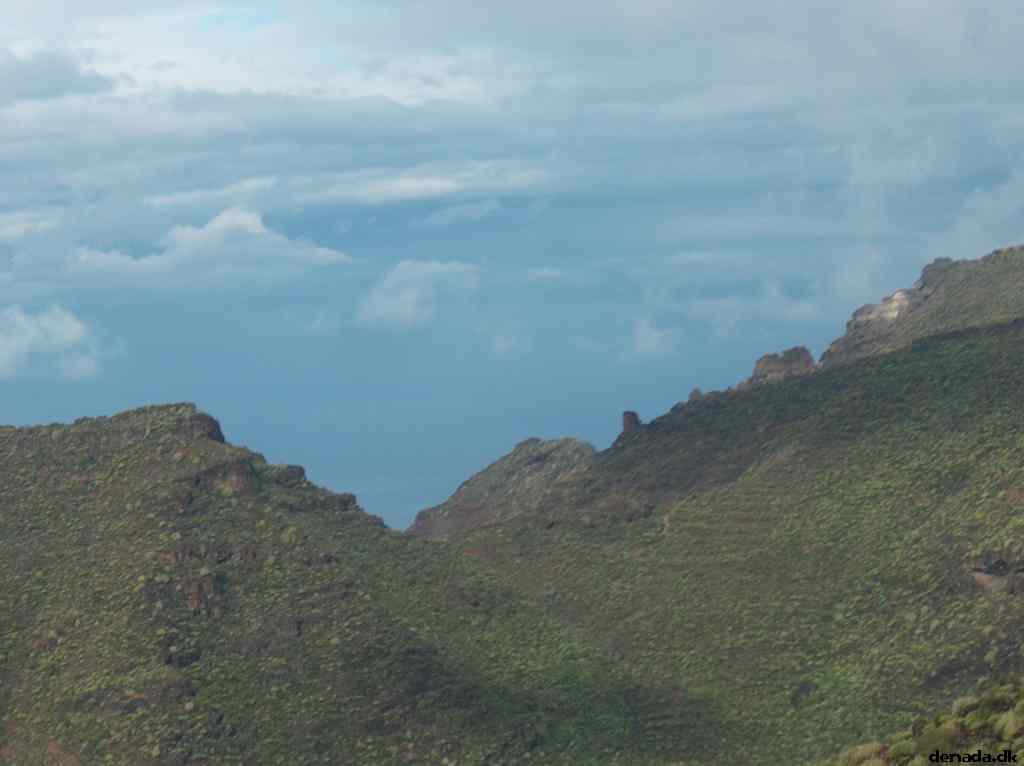 * Image 12