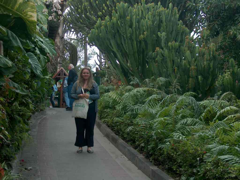 * Image 56