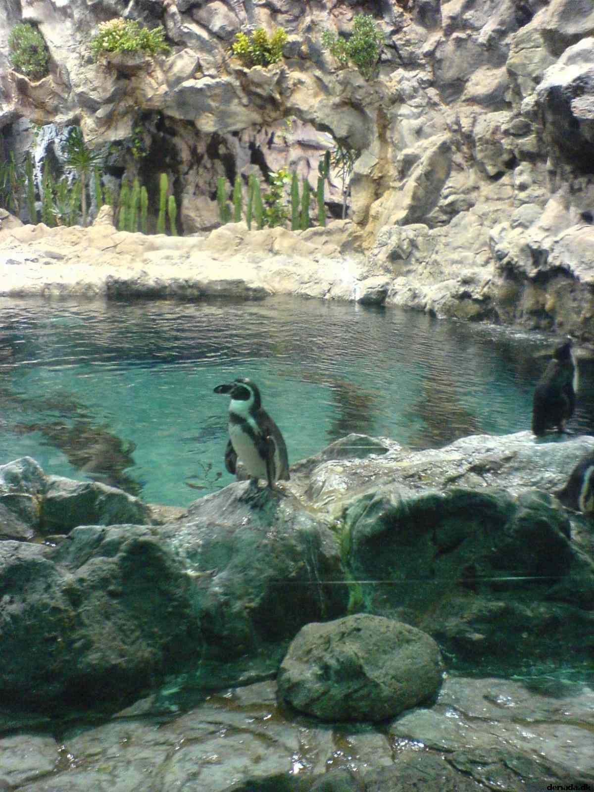* Image 53