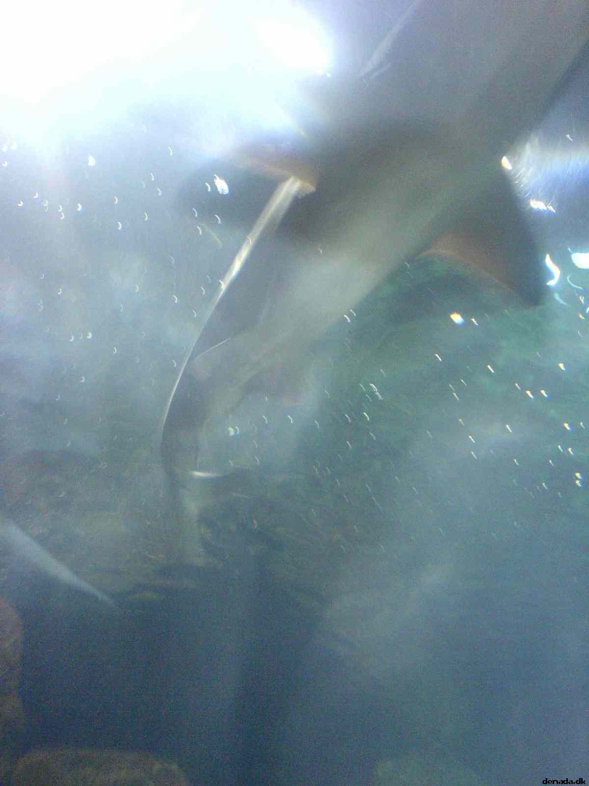* Image 163