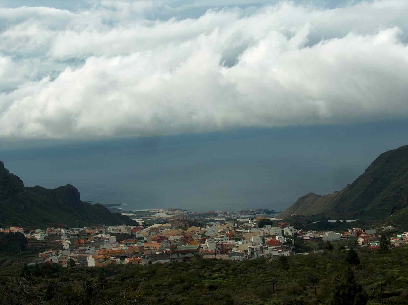 * Image 19