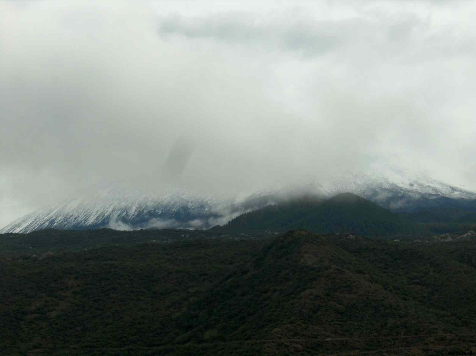 * Image 23